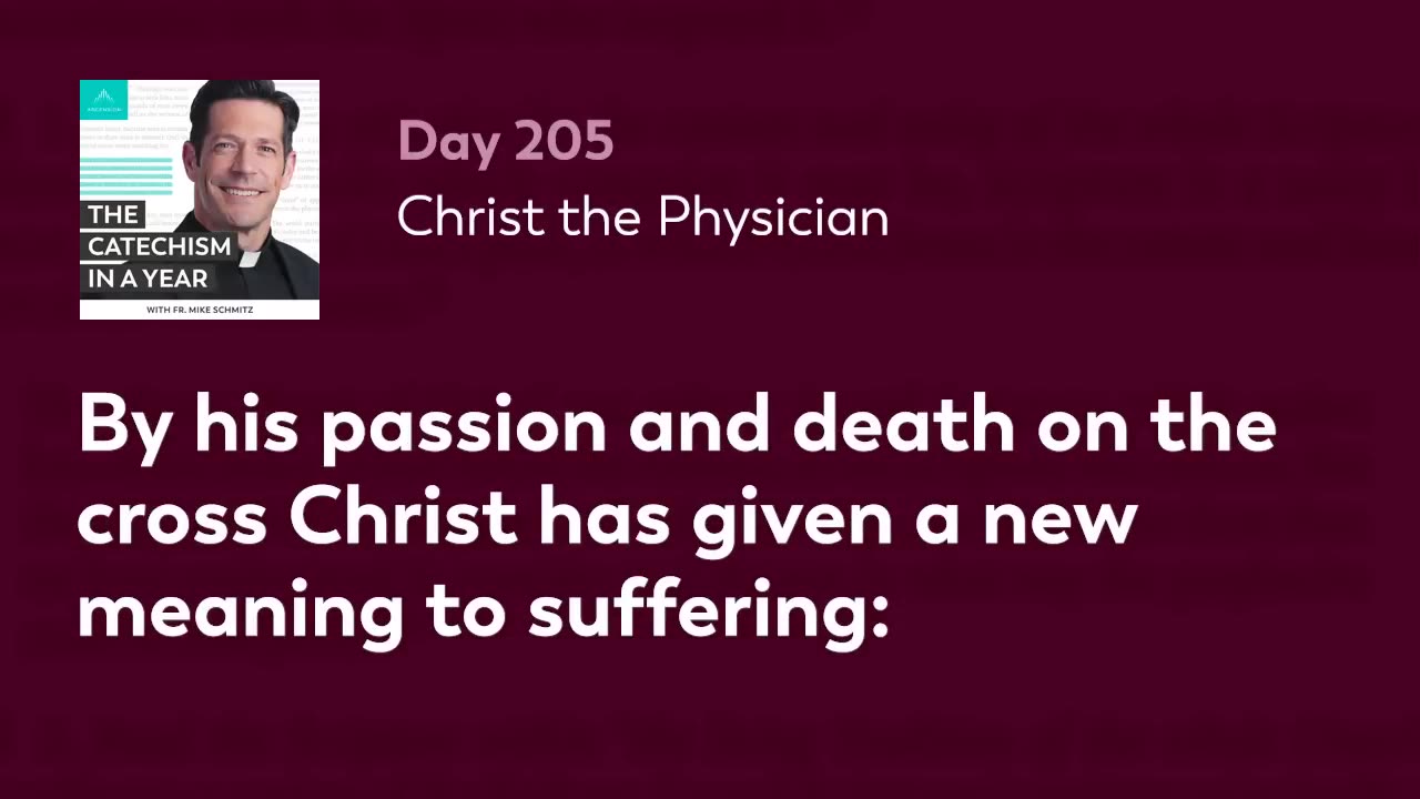 Day 205: Christ the Physician — The Catechism in a Year (with Fr. Mike Schmitz)