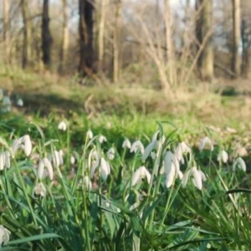 Transform Your Mood: How Relaxing This is Volume 64