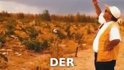 Wüstenbegrünung in Algerien #shorts