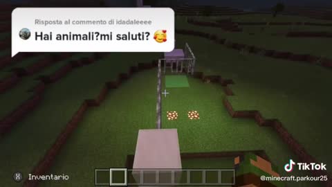 minecraft gamers