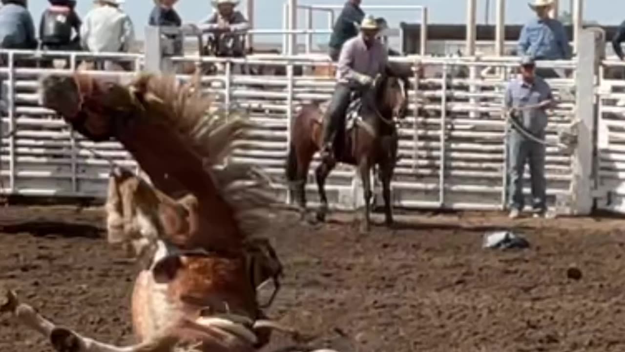 Saddle Bronc Wreck