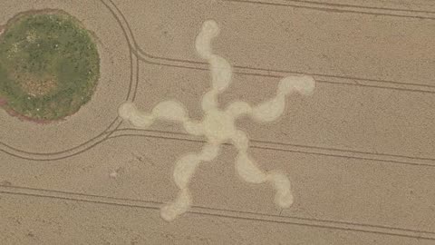 New Crop Circle June 30, 2024 Wiltshire, UK