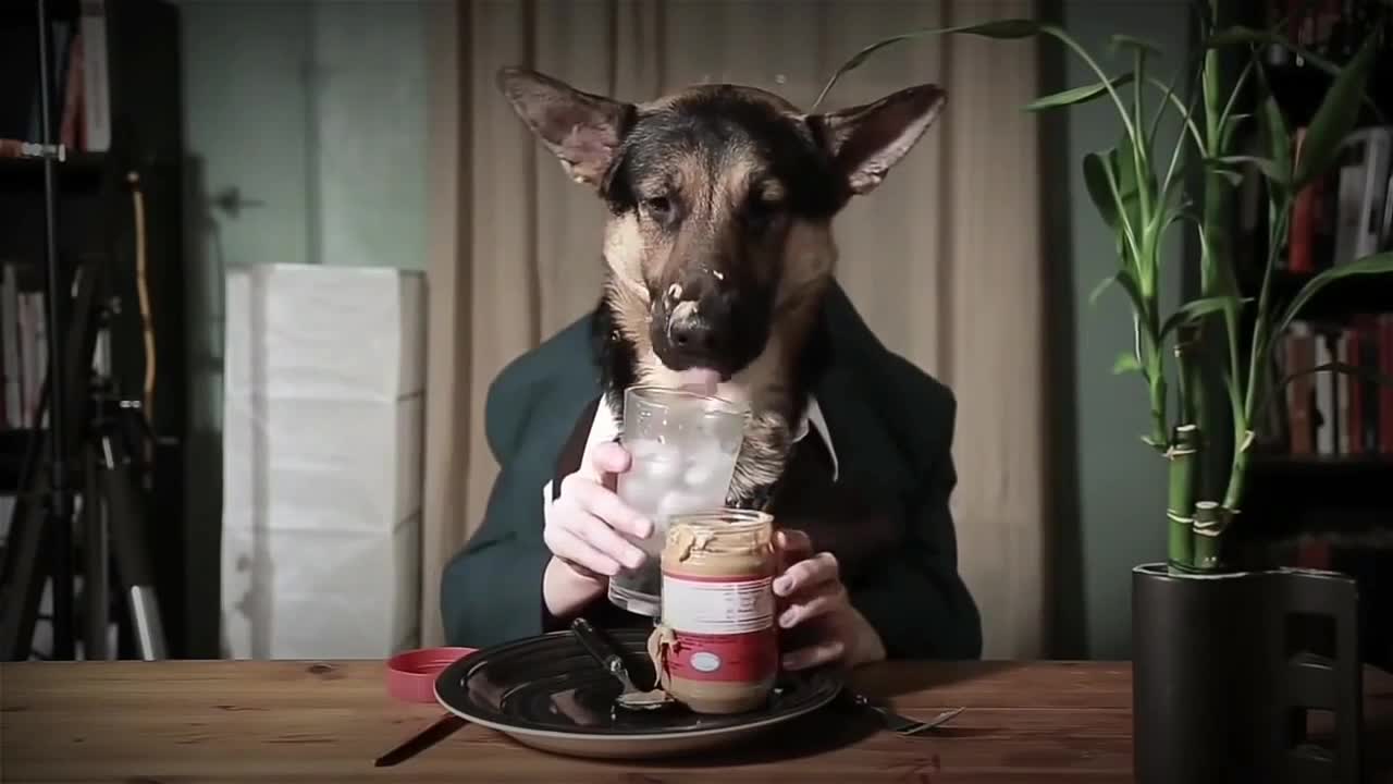 WHAT IS IT? A dog with human hands eats