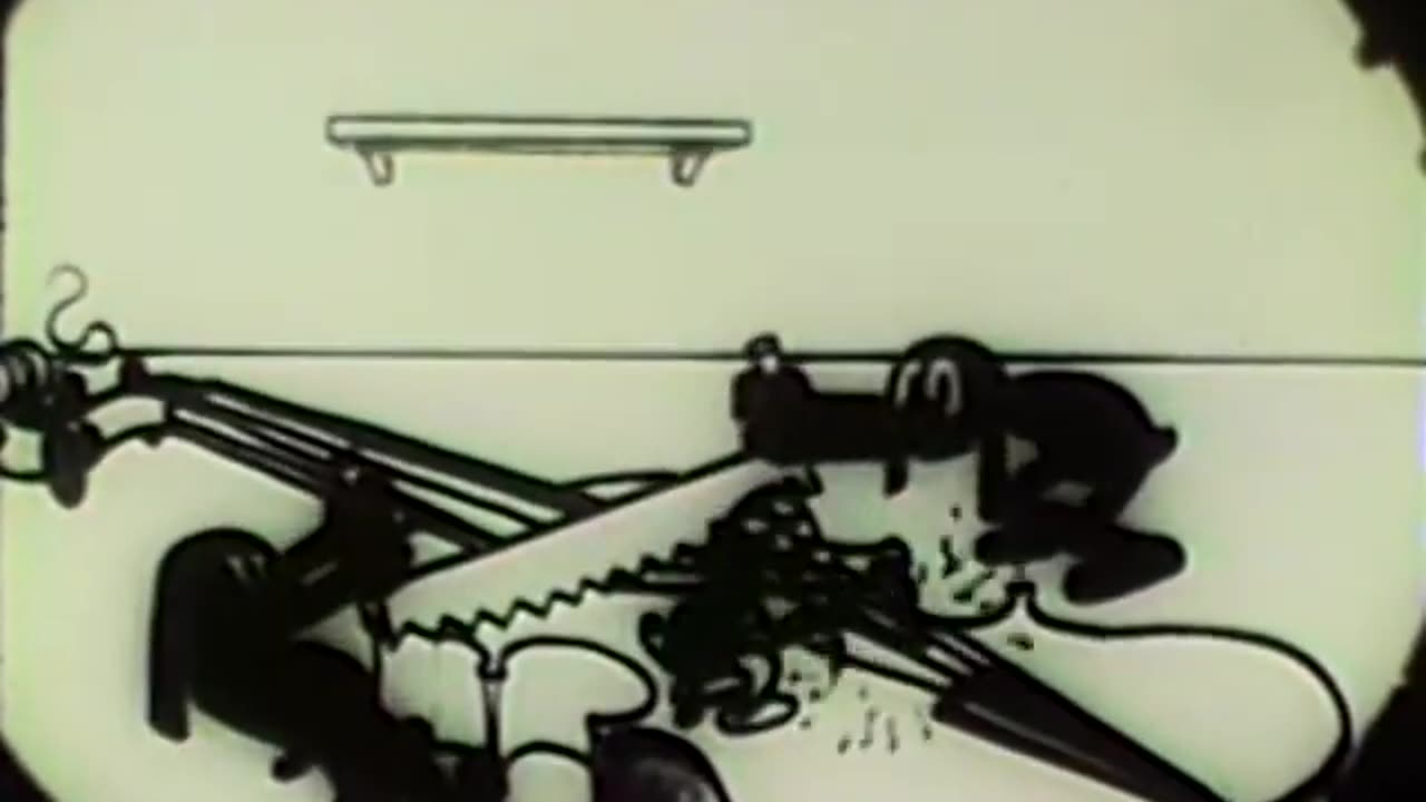 Fleischer Studios Cartoons - 1930x05 - Radio Riot