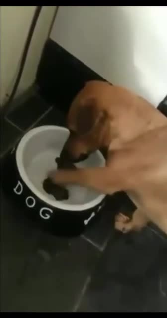 Not cool bruh. Rude, mean and heartless 🤣