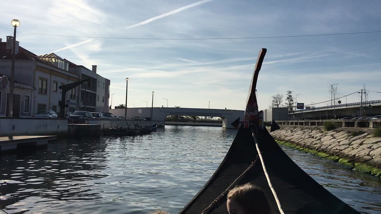 Moliceiros Boat Tour (Aveiro, Beira Litoral, Portugal) 4