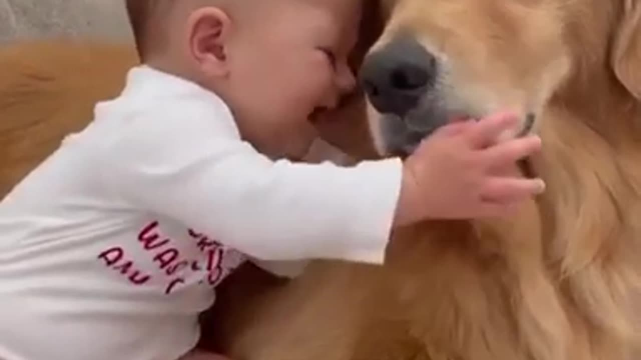 Child and Dog Funny videos