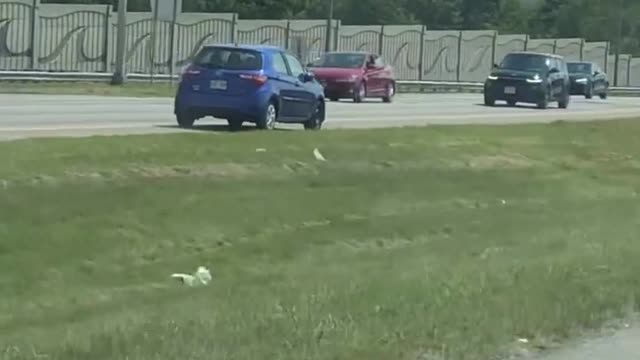 Une voiture roule en sens inverse sur l'autoroute 50 à Gatineau