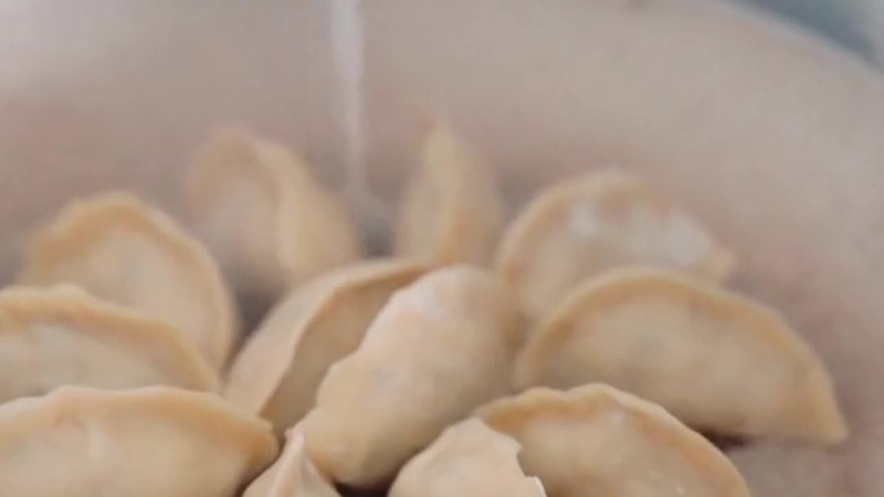 delicious DUMPLING