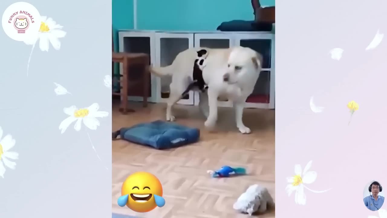 1 Hour of Funniest Animals Videos #5 😂 Funniest Cats and Dogs 😍😺🐶