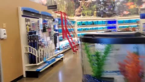 EXPLORING PETSMART ! ANIMAL FRIENDS EVERYWHERE!