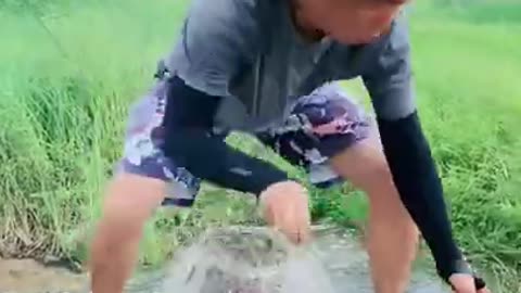 Fish Fountain TikTok Viral 2021