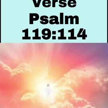 Daily Bible Verse - Psalm 119:114