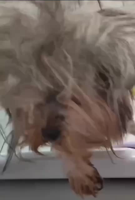 Bad hair day for me every morning 😊