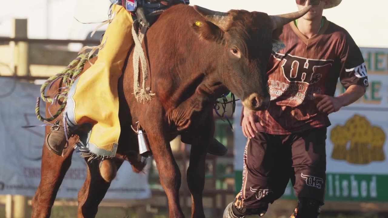 Rosthern Rodeo