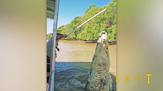 30 Biggest Creatures Ever Captured