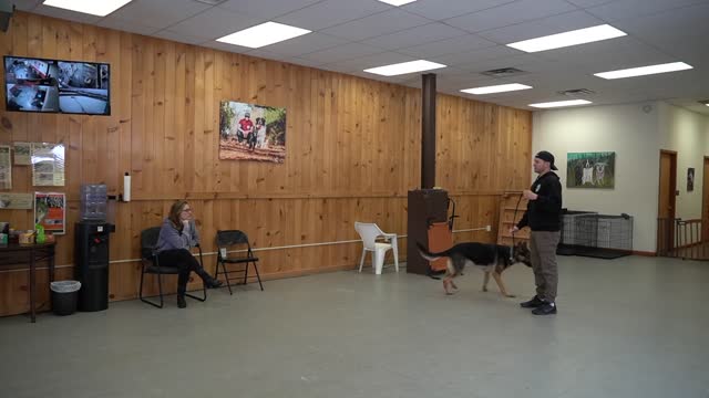 Dog training and so educative