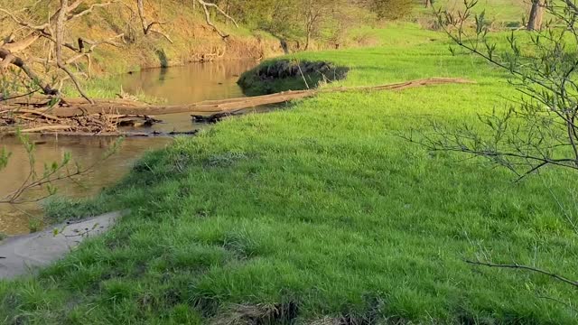 a stream in a pasture