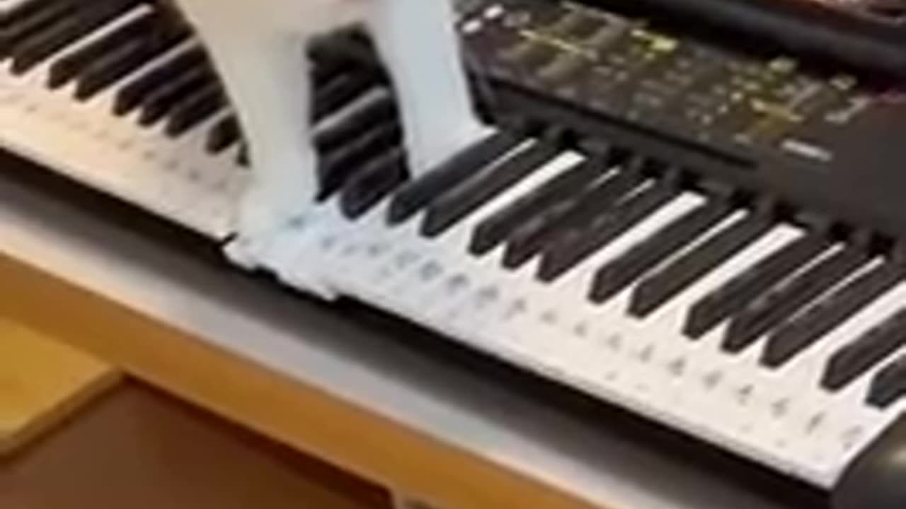 Funny 🤣🤣 video