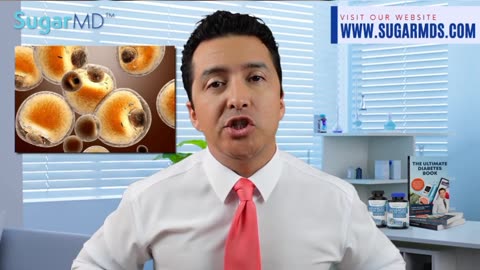 7 Reason why it is so hard to lose belly fat Right the dissertation