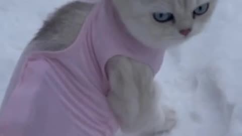 Oh.... No......Mom, it's still Snowing here!!!!!
