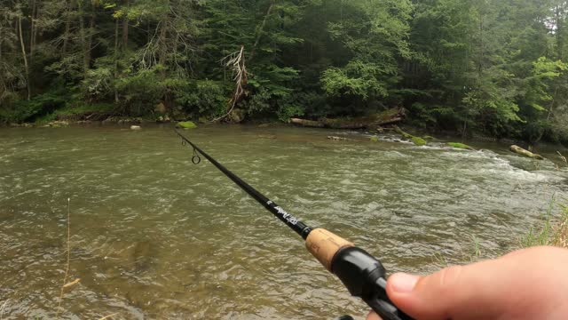 Penns Creek Browns, Bows, Falls