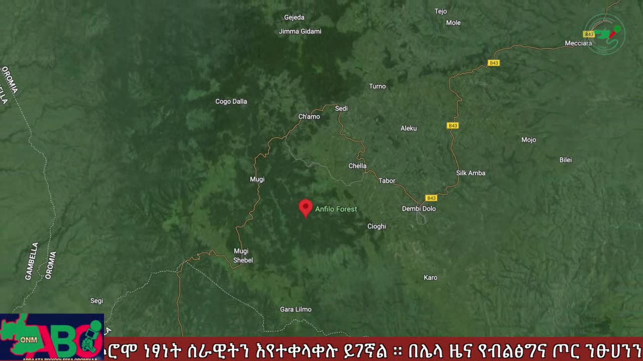 ONM-ABO -መጋብት 24-2024 ዓ.ም ሳምንታዊ የኦሮሞ ነፃነት ሠራዊት ዉሎ ።