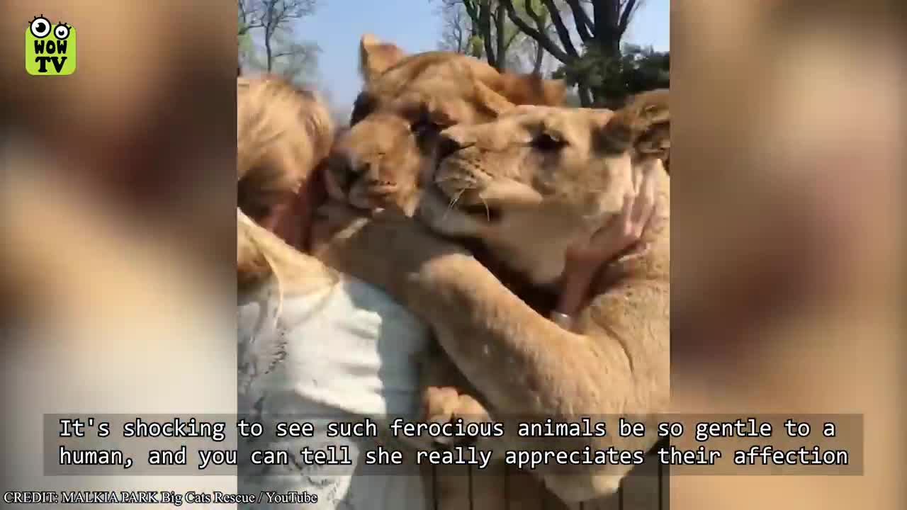 Animals Reunited With Owners After Years!