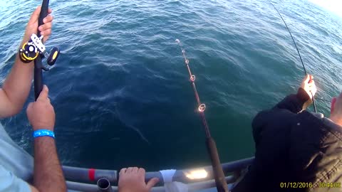 Porgy Fishing on the BlackHawk Niantic Ct