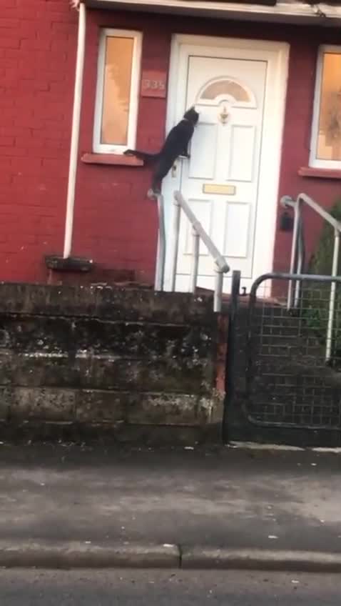 DID YOU KNOW? HAVE A LAUGH ITS FRIDAY.