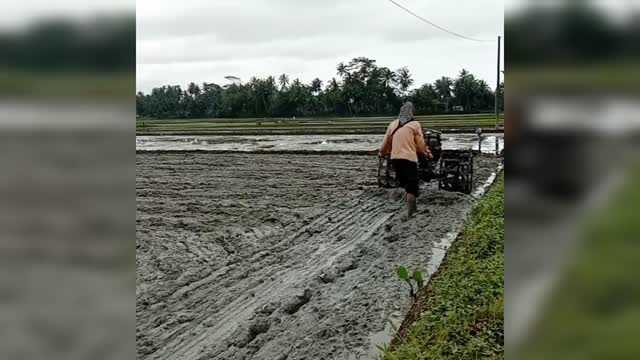 Plowing the fields