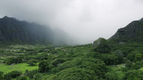 Thick Fogs On A Mountain Valley