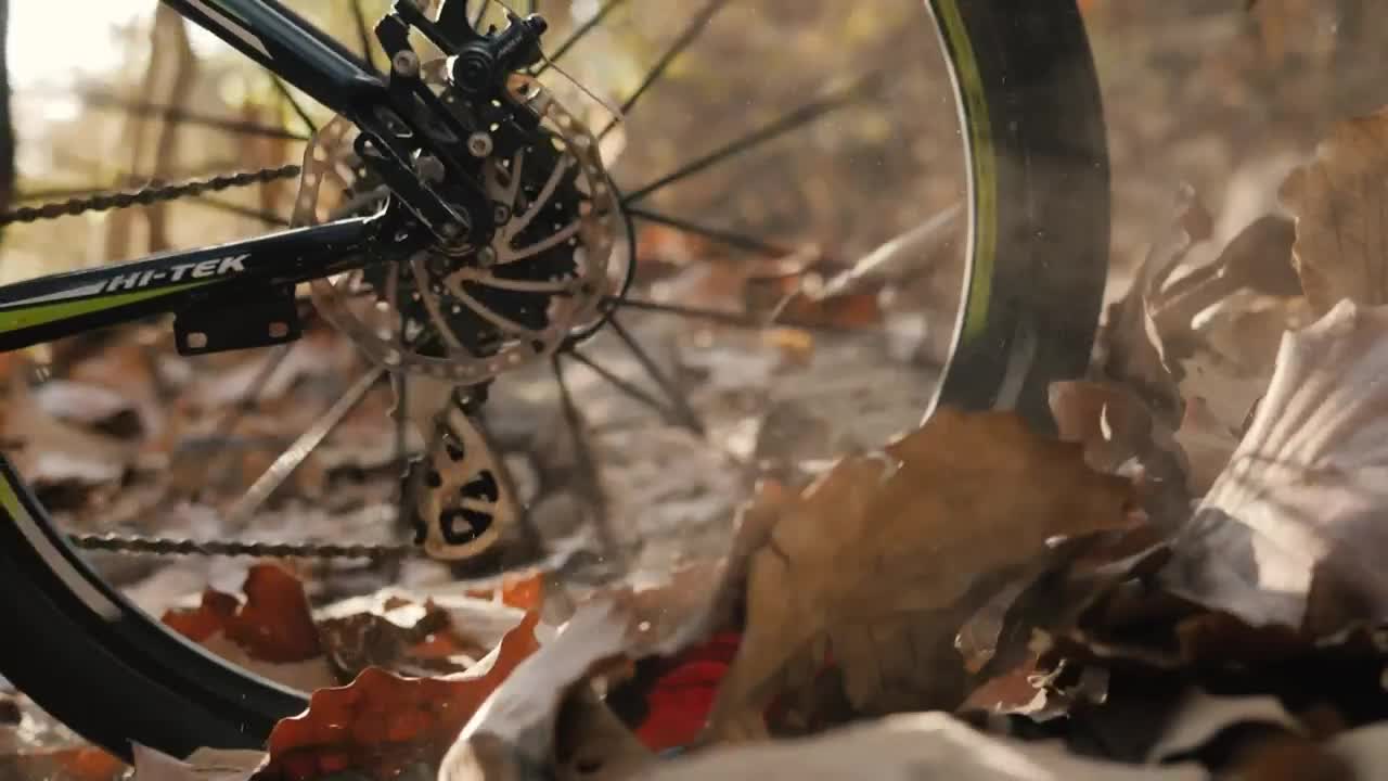 Wheel of a bicycle riding fast on dry leaves