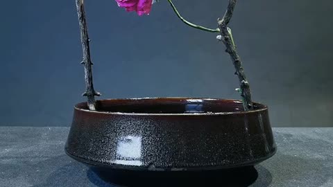 Ikebana 007: Oriental Style Natural Flower Arrangement Artistic Creativity