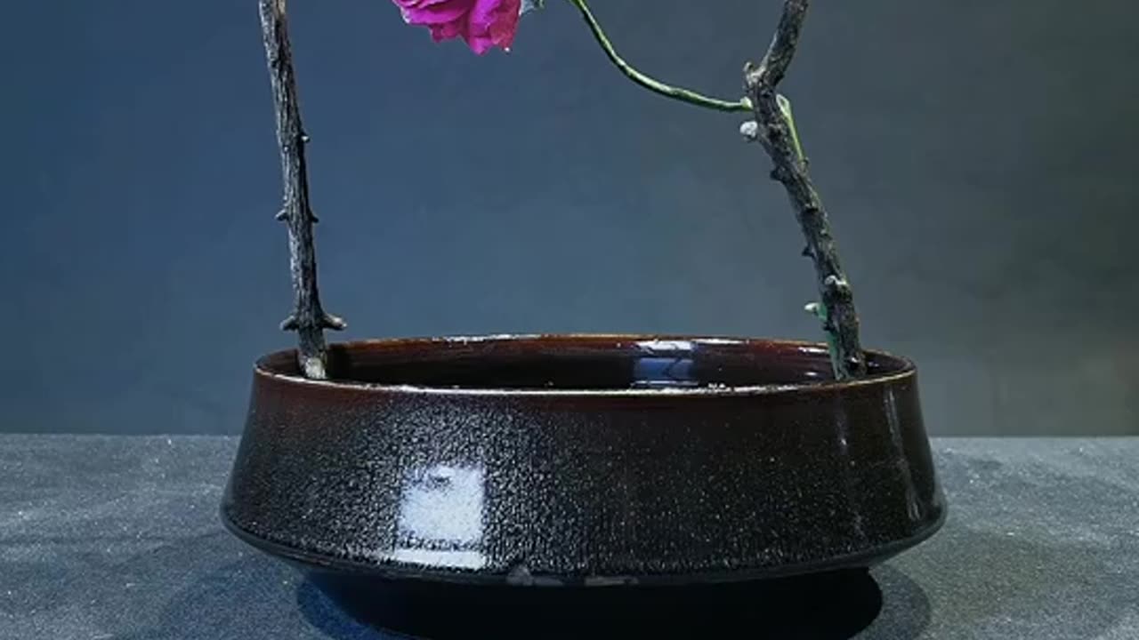 Ikebana 007: Oriental Style Natural Flower Arrangement Artistic Creativity