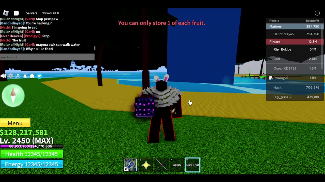 I Found Dark Fruit In Blox Fruits!