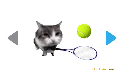 Cat Tennis