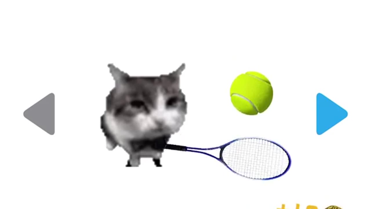 Cat Tennis