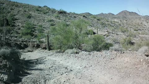 Quartzsite 1