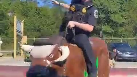 Bol ride funny