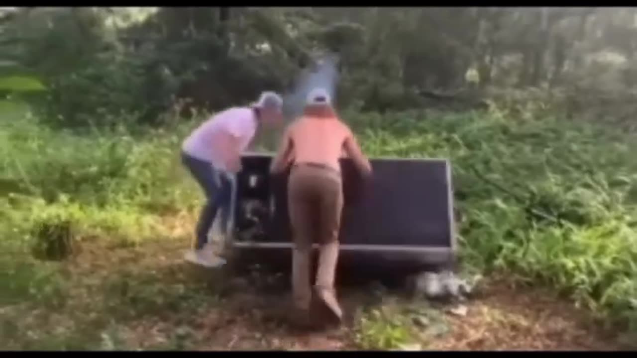 #viral #viral #youtubeshorts #shorts #trendingshorts #trending #instagramtrending #reels
