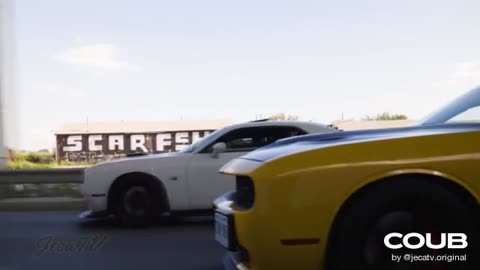 CAR reviews