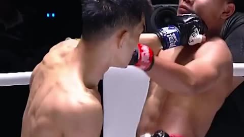 Top Brutallity Recap in MMA