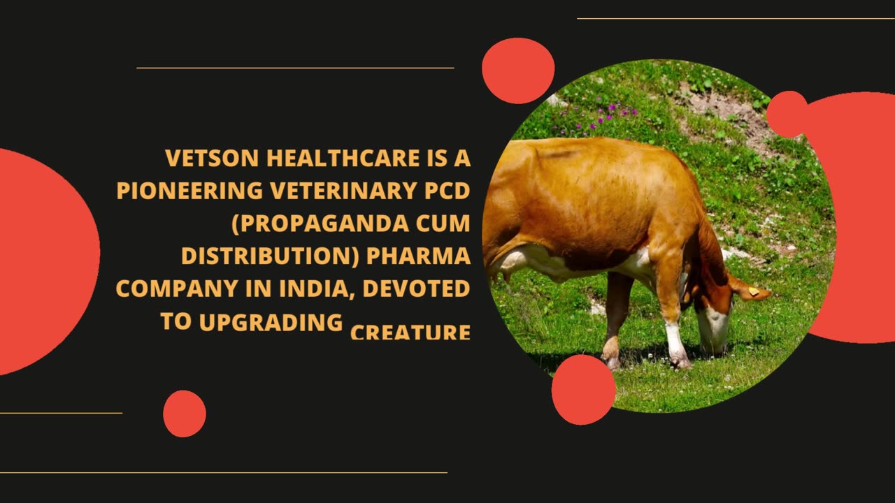 Best Veterinary PCD Pharma Company in India | Vetson Healthcare