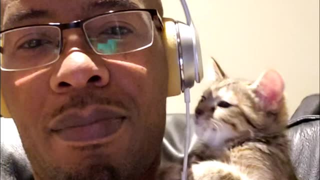 Cat on Shoulder