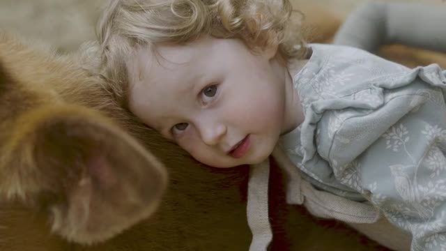 Cow and small baby's love