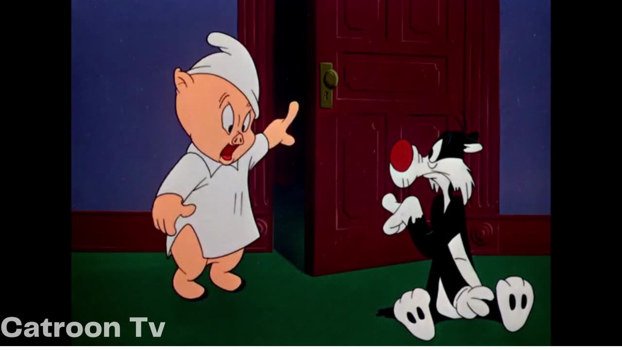 Merrie Melodies Scaredy Cat Cartoon