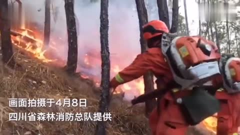 Sichuan Mianning forest fire, 252 firefighters rushed to the fire overnight,