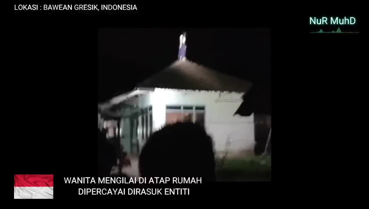 Video seram