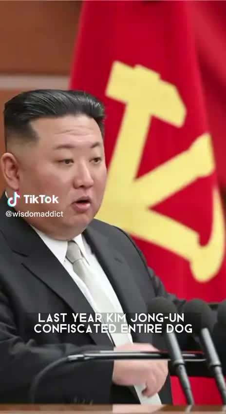 N Korea seized all dogs.